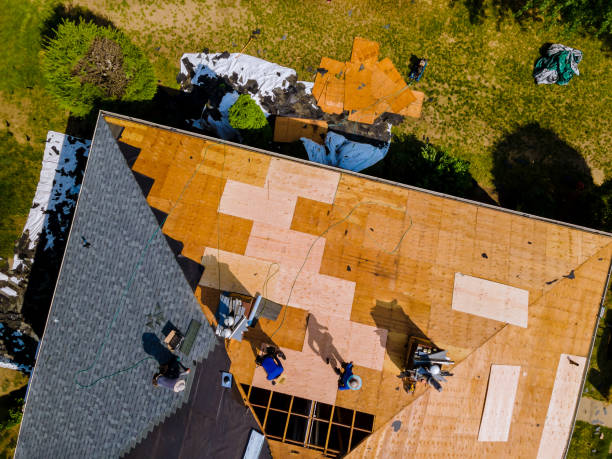 Best Metal Roofing Contractor  in Hazel Crest, IL