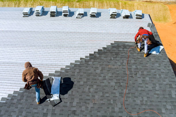 Best Roof Waterproofing Services  in Hazel Crest, IL