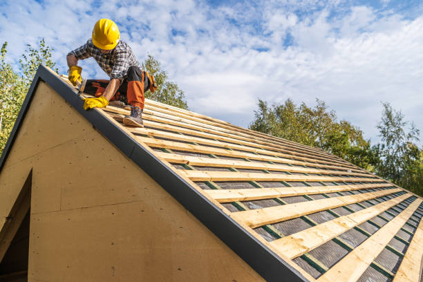 Best Roof Restoration Services  in Hazel Crest, IL