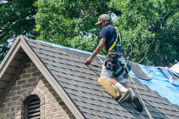 Best Roof Maintenance Services  in Hazel Crest, IL